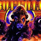 buffalo slot machine download