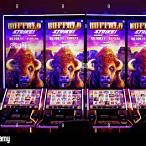 buffalo casino slot